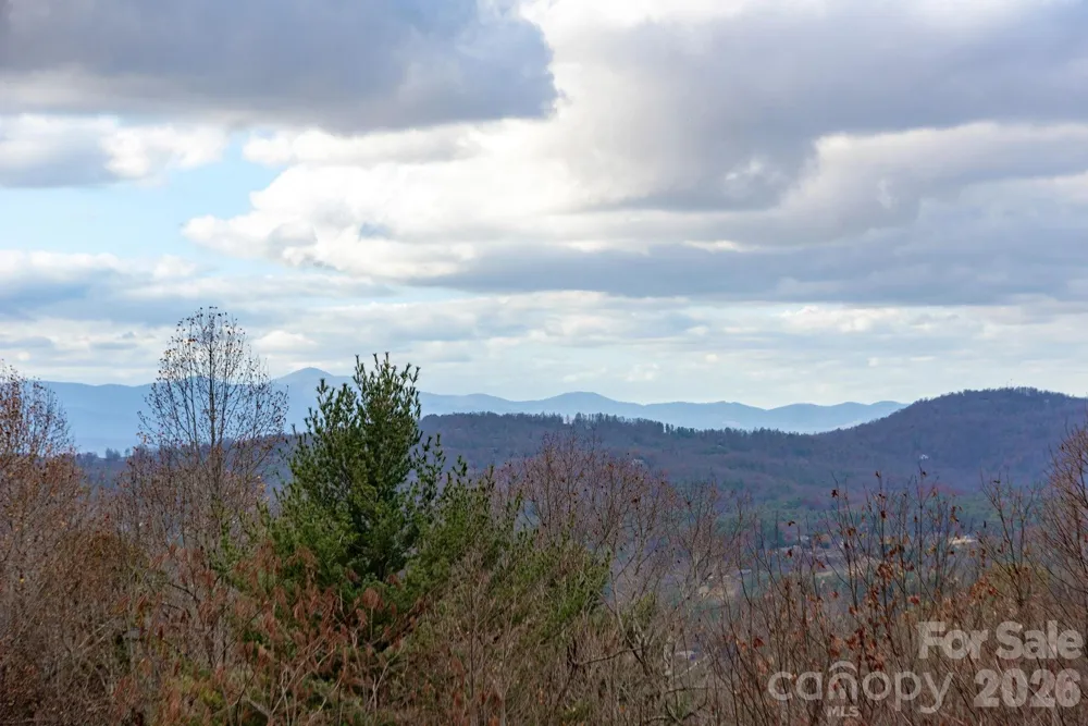 135 POPLAR LOOP Flat Rock, NC 28731