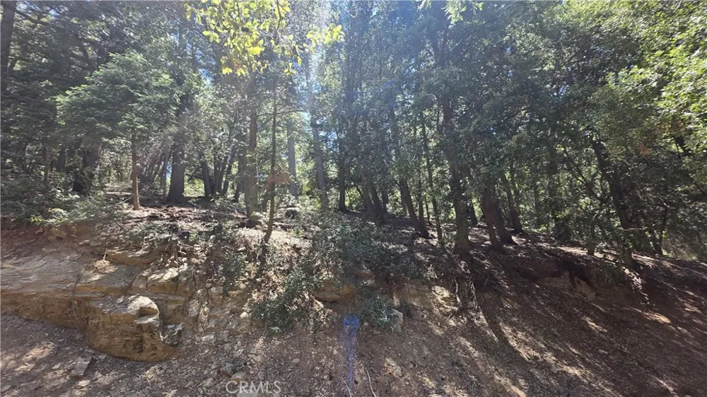 Mojave River Road Cedarpines Park, CA 92322