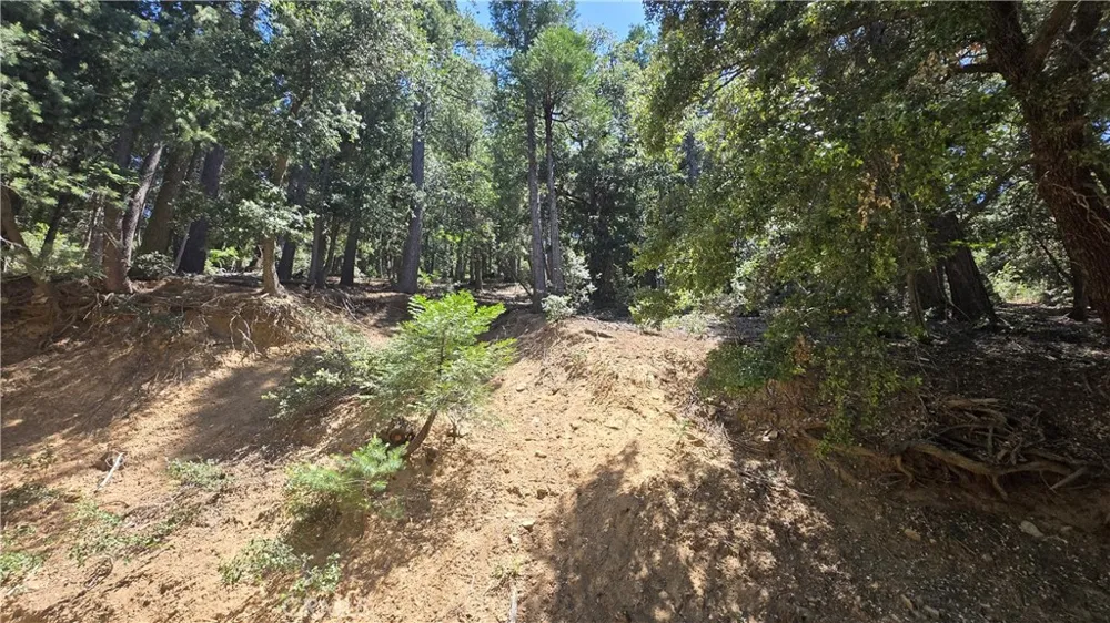 Mojave River Road Cedarpines Park, CA 92322