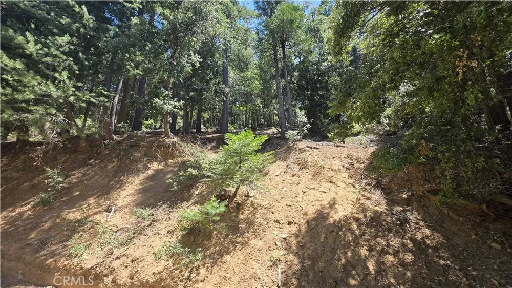 Mojave River Road Cedarpines Park, CA 92322