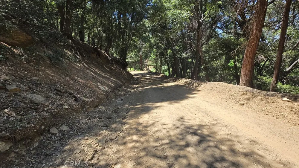 Mojave River Road Cedarpines Park, CA 92322
