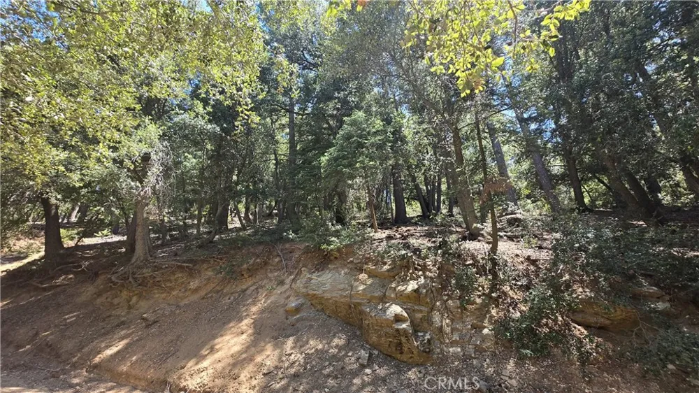 Mojave River Road Cedarpines Park, CA 92322