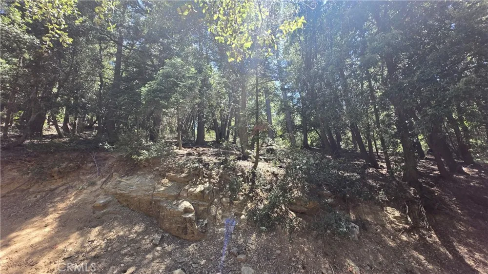 Mojave River Road Cedarpines Park, CA 92322