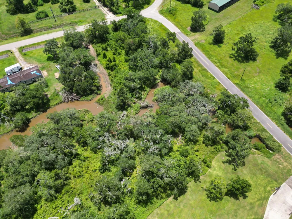 County Road 659 Brazoria, TX 77422