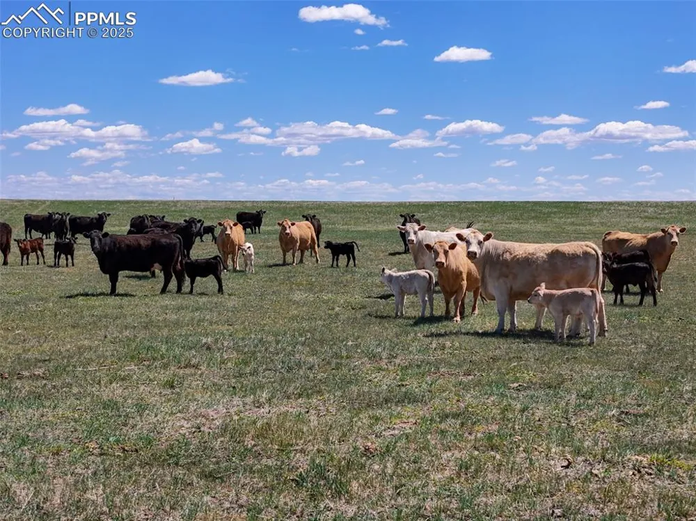 18497 County Road 197 Limon, CO 80828