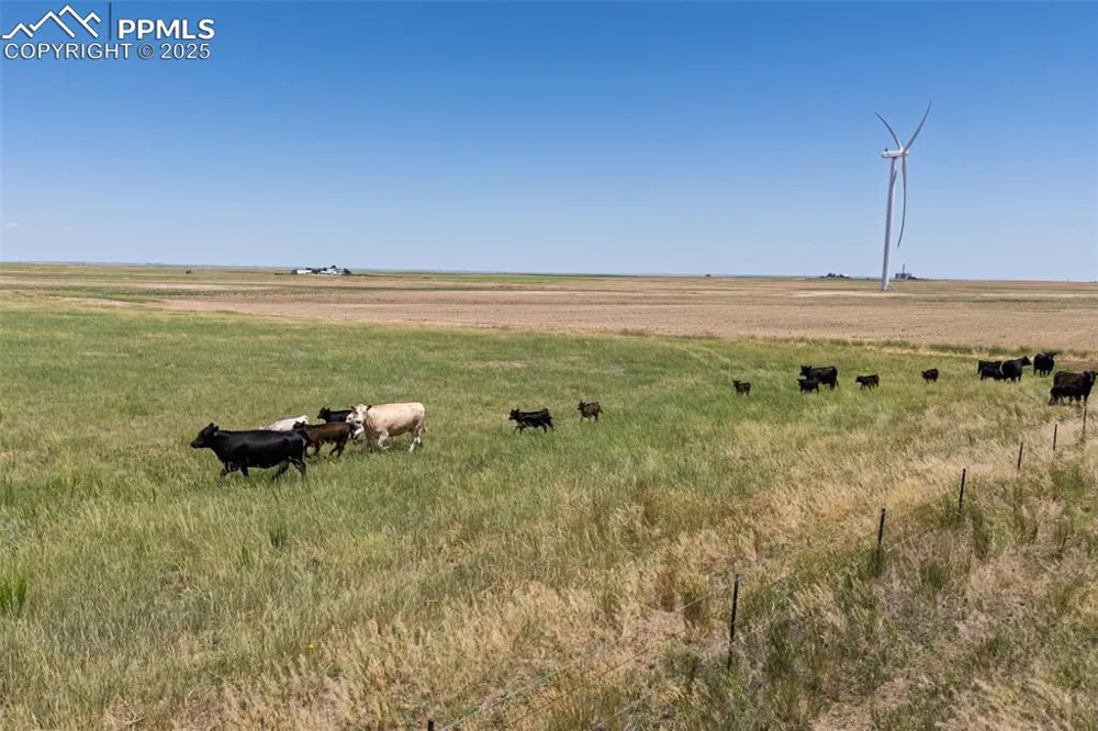 18497 County Road 197 Limon, CO 80828
