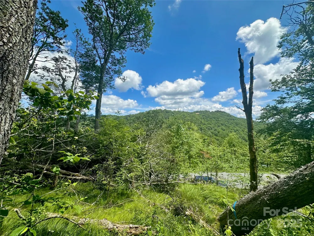 255/256 Grouse Moor Drive #255/256 Sugar Mountain, NC 28604