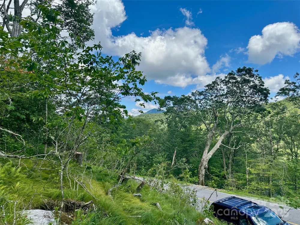 255/256 Grouse Moor Drive #255/256 Sugar Mountain, NC 28604