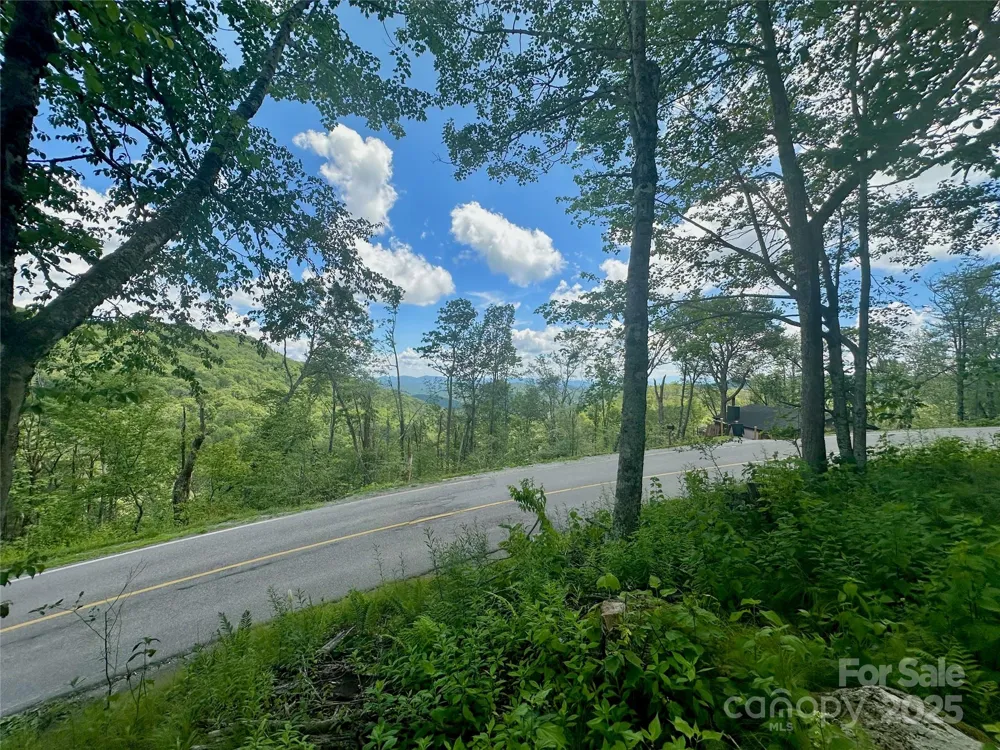 255/256 Grouse Moor Drive #255/256 Sugar Mountain, NC 28604