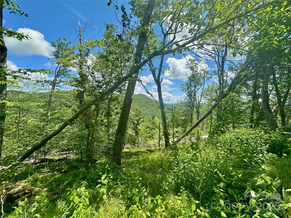255/256 Grouse Moor Drive #255/256 Sugar Mountain, NC 28604
