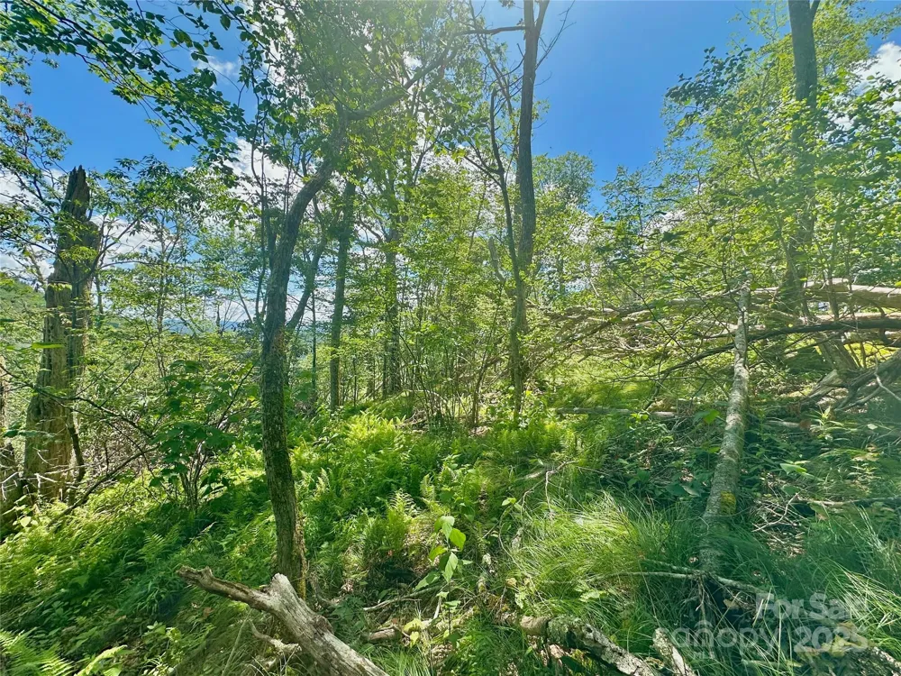255/256 Grouse Moor Drive #255/256 Sugar Mountain, NC 28604