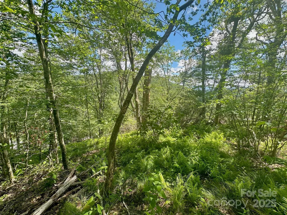 255/256 Grouse Moor Drive #255/256 Sugar Mountain, NC 28604