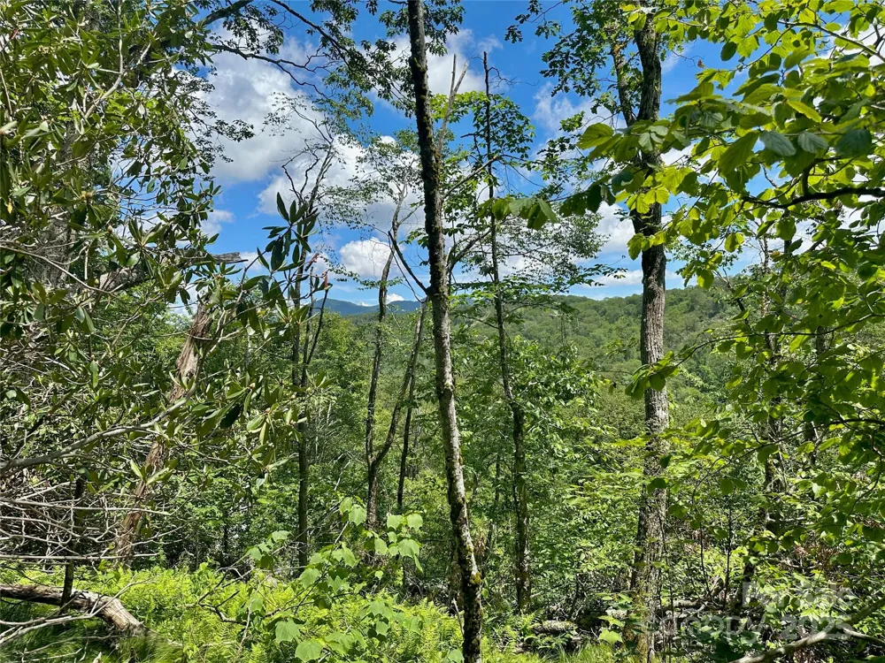 255/256 Grouse Moor Drive #255/256 Sugar Mountain, NC 28604