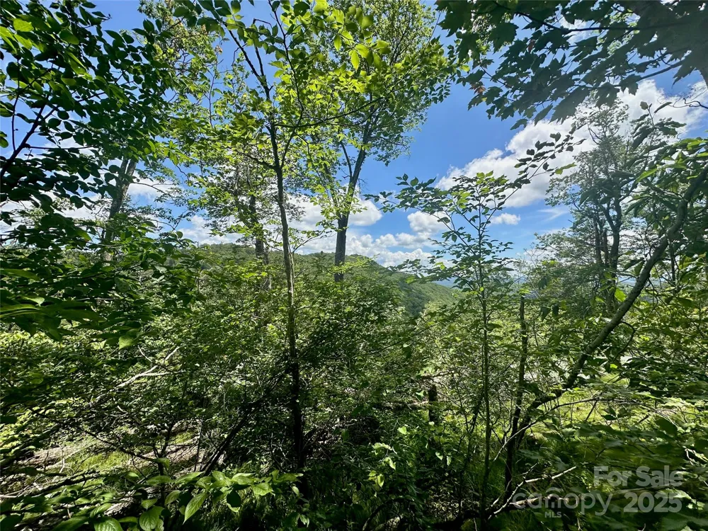 255/256 Grouse Moor Drive #255/256 Sugar Mountain, NC 28604