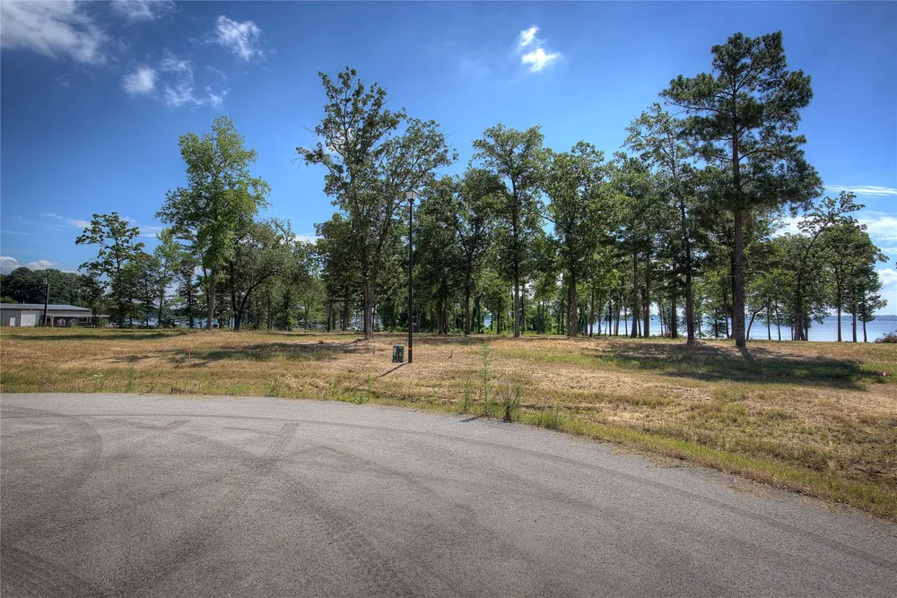 20609 Wycliff Drive Chandler, TX 75758