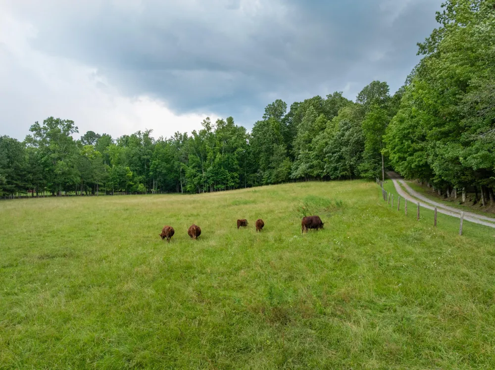 1261 S Cedar Lane Chickamauga, GA 30707