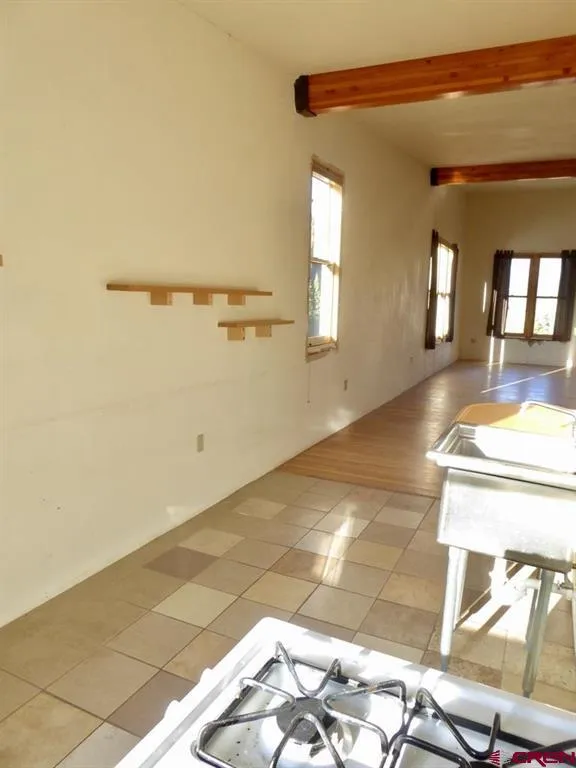 4 Mears Avenue Silverton, CO 81433