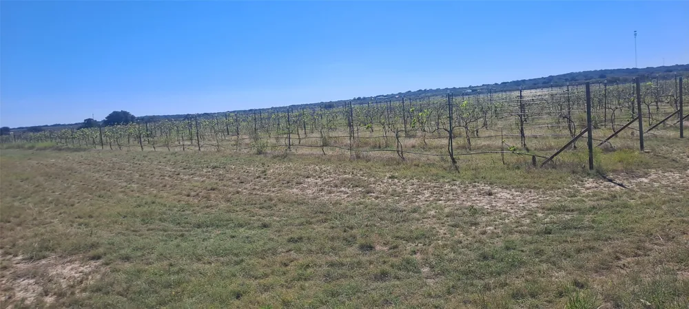 809 Coyote Trail #Lot 1 Richland Springs, TX 76871