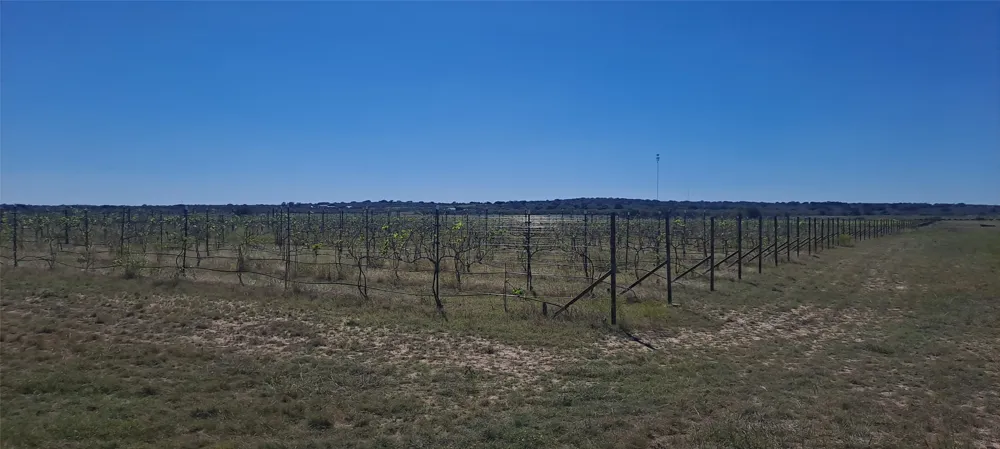 809 Coyote Trail #Lot 1 Richland Springs, TX 76871