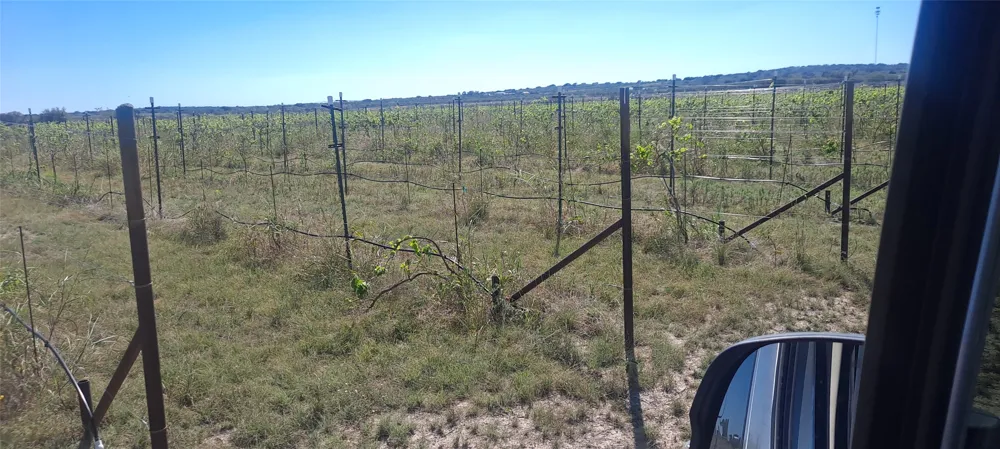 809 Coyote Trail #Lot 1 Richland Springs, TX 76871