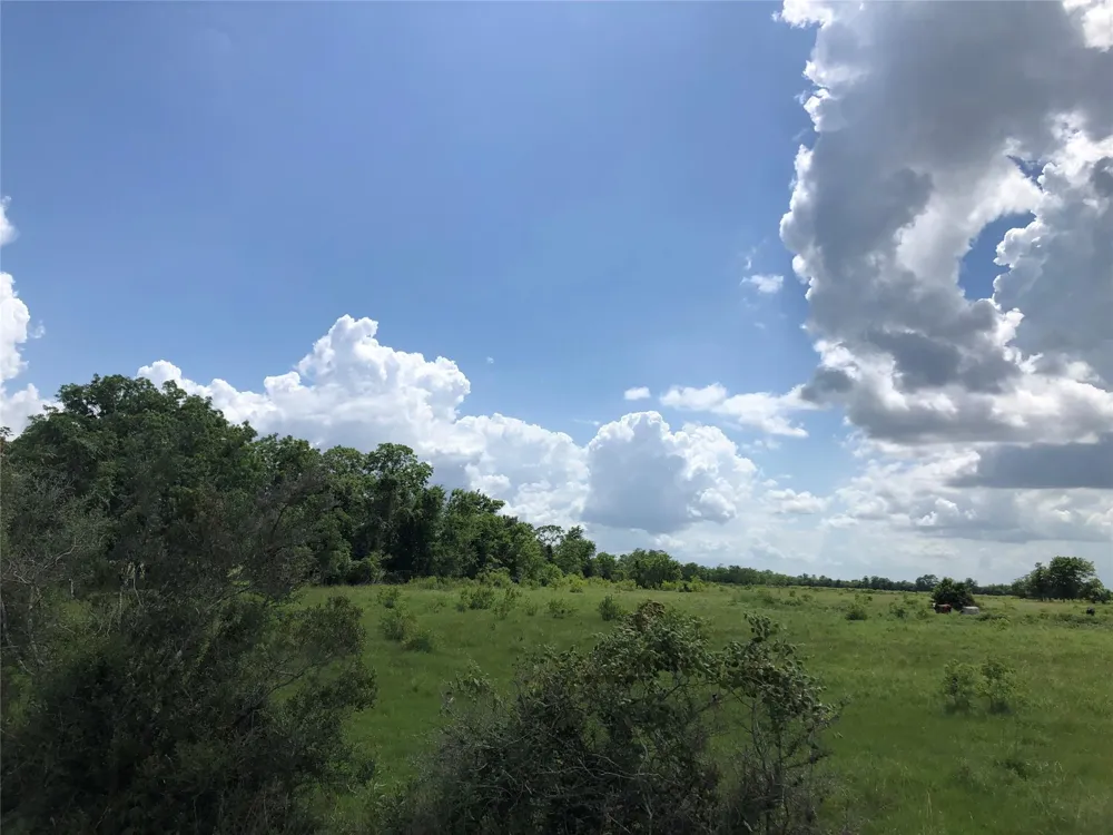 County Road 182 Raywood, TX 77582