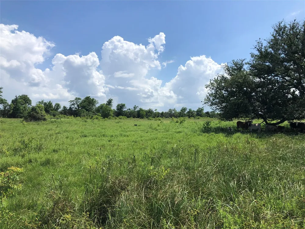 County Road 182 Raywood, TX 77582