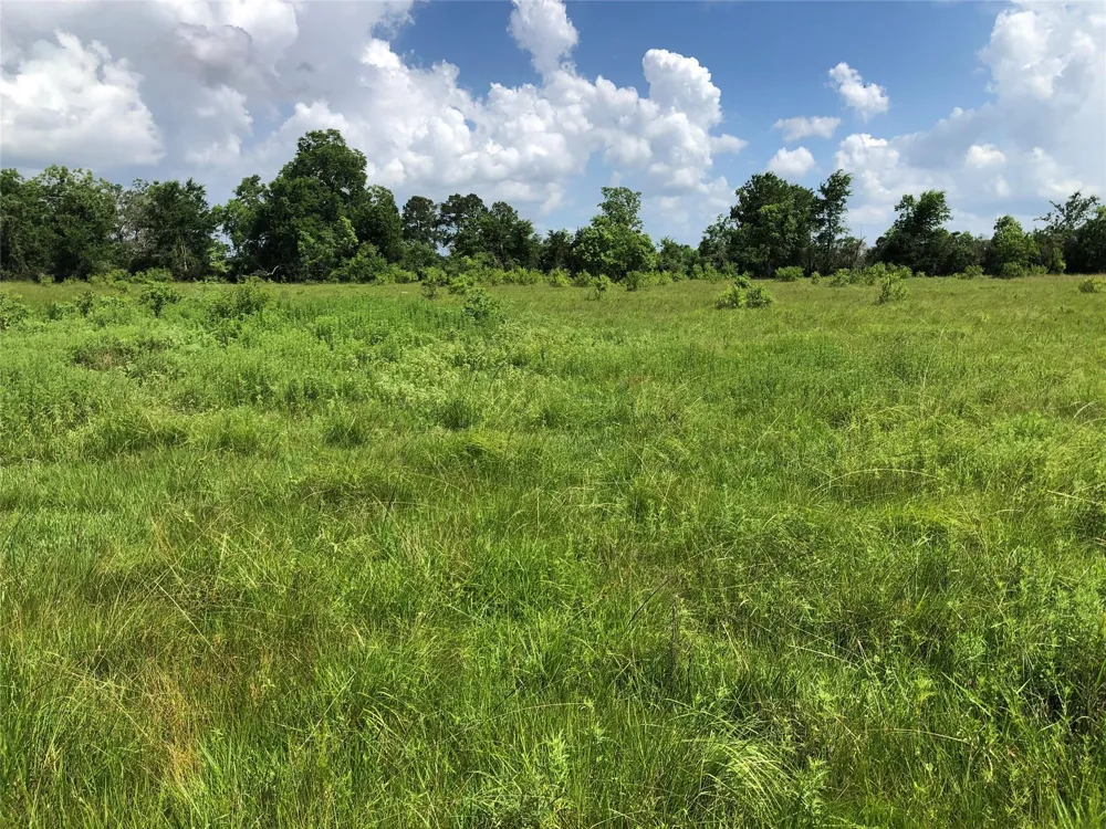 County Road 182 Raywood, TX 77582