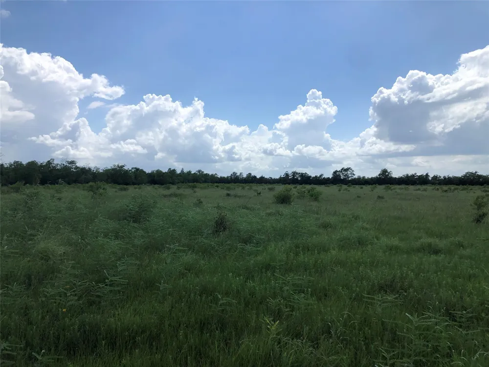 County Road 182 Raywood, TX 77582
