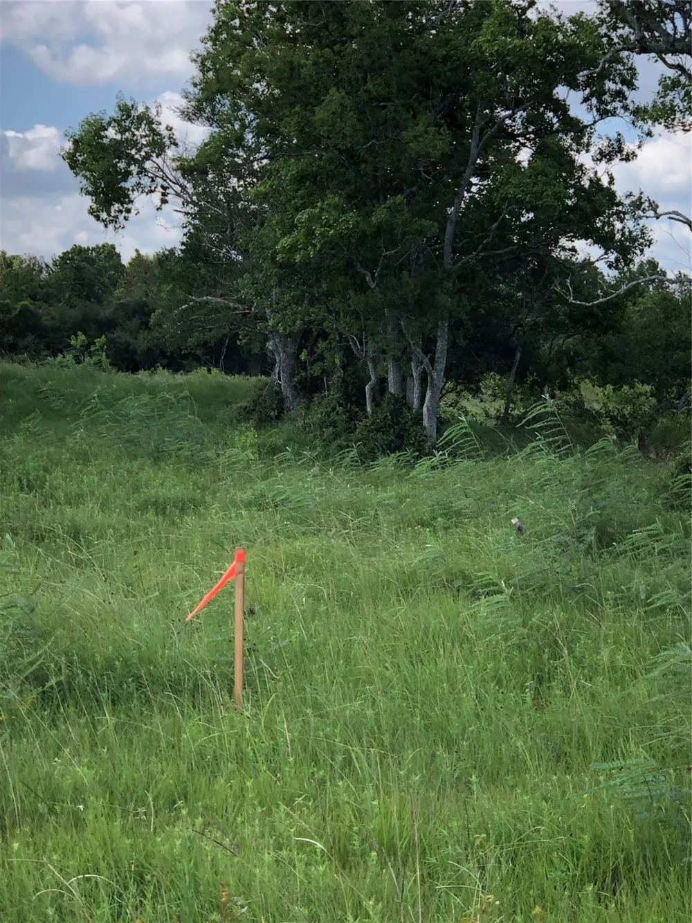 County Road 182 Raywood, TX 77582