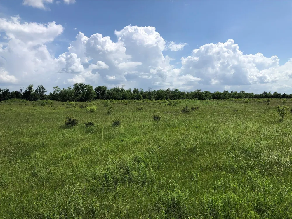 County Road 182 Raywood, TX 77582