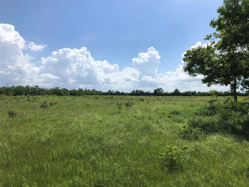 County Road 182 Raywood, TX 77582