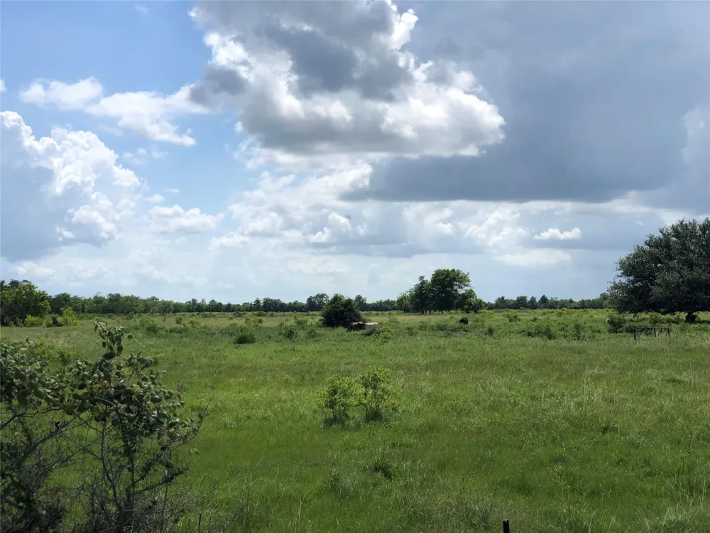 County Road 182 Raywood, TX 77582