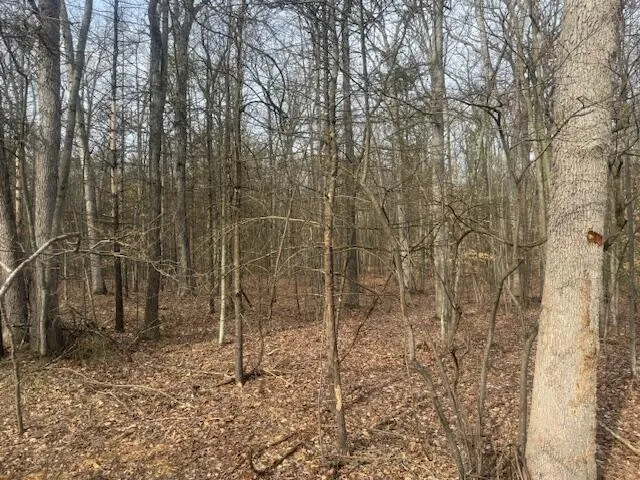 E Meinert Road Holton, MI 49425