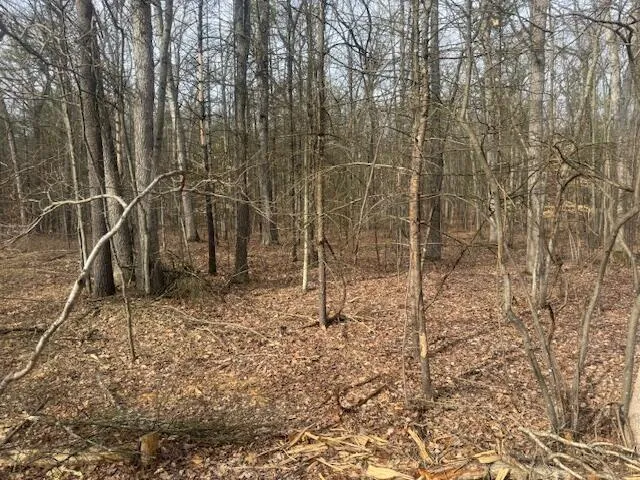 E Meinert Road Holton, MI 49425