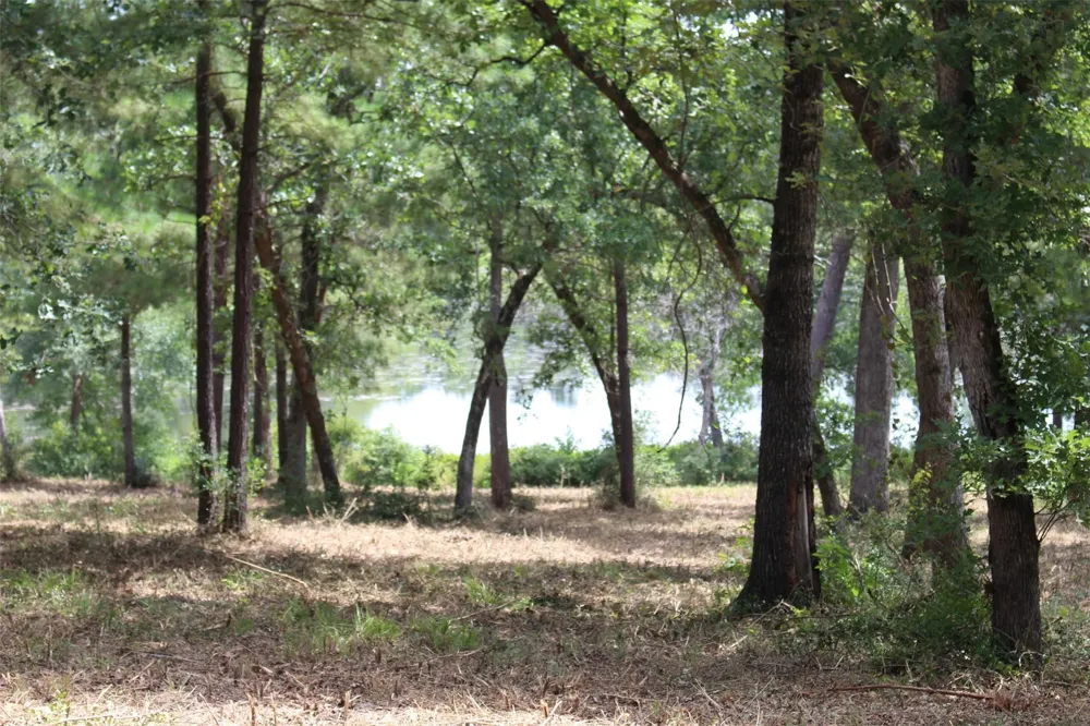 160 Private Road 1311 Centerville, TX 75833