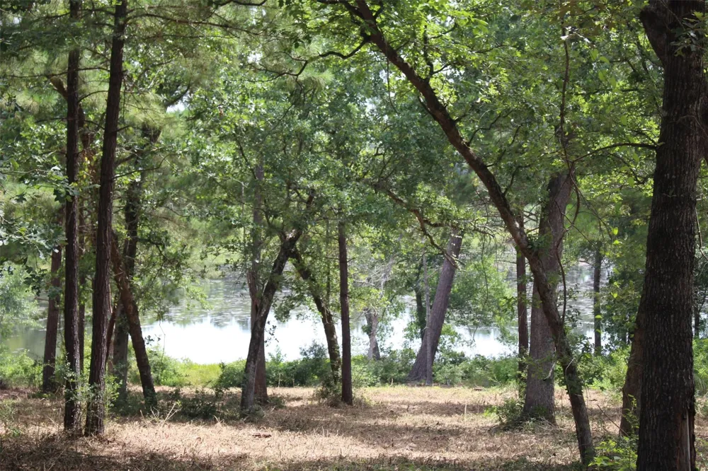 160 Private Road 1311 Centerville, TX 75833