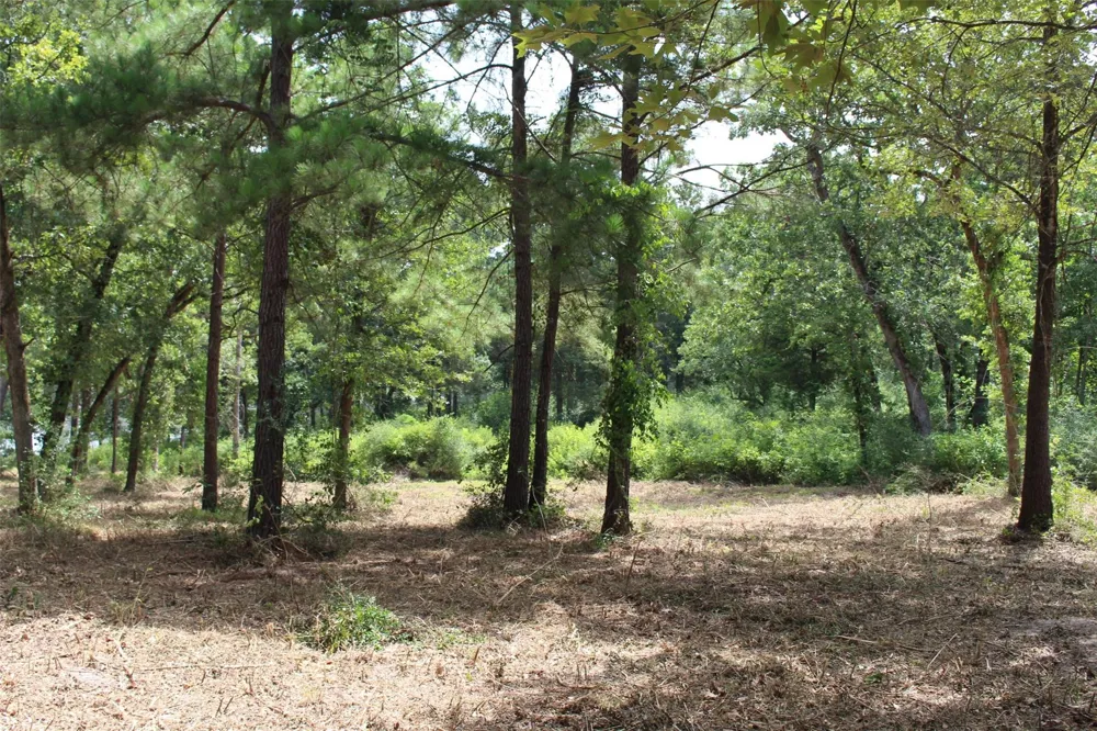 160 Private Road 1311 Centerville, TX 75833