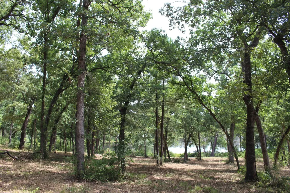160 Private Road 1311 Centerville, TX 75833