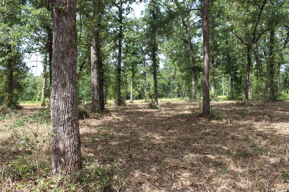 160 Private Road 1311 Centerville, TX 75833