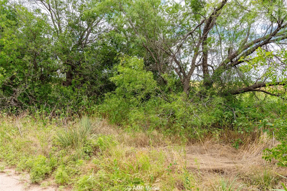 Private Lane Hawley, TX 79525