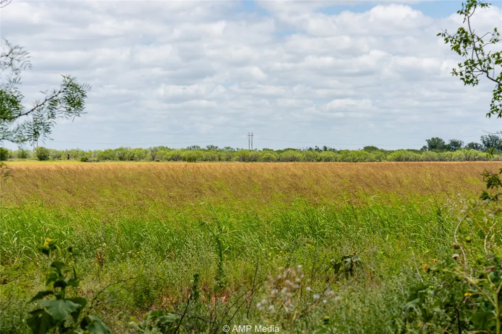 Private Lane Hawley, TX 79525