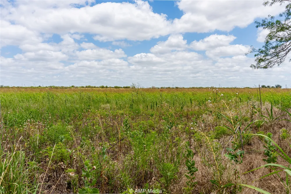 Private Lane Hawley, TX 79525