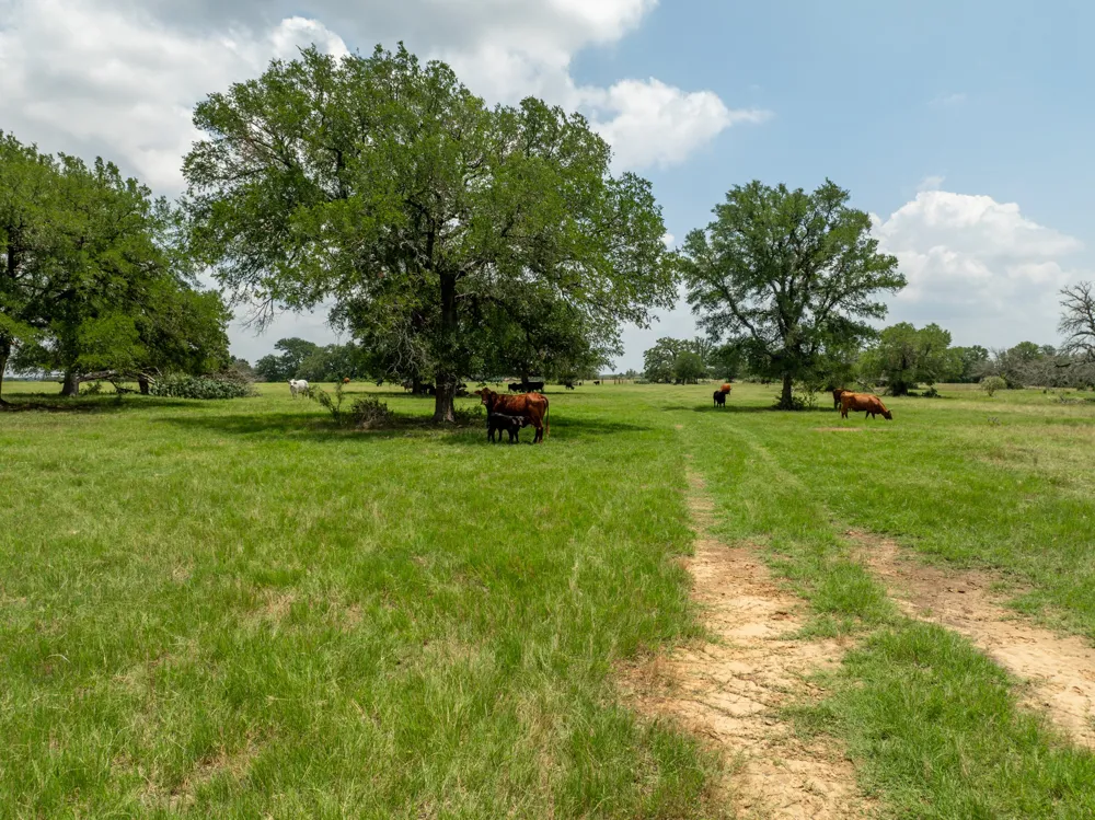 5315 Fm 932 Jonesboro, TX 76538