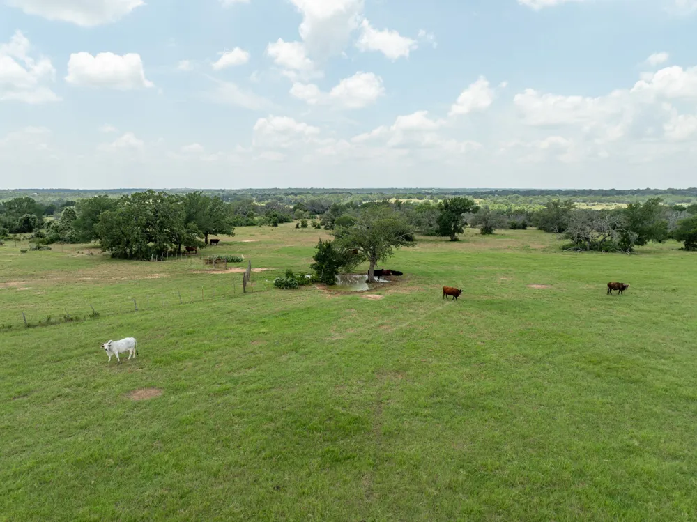 5315 Fm 932 Jonesboro, TX 76538