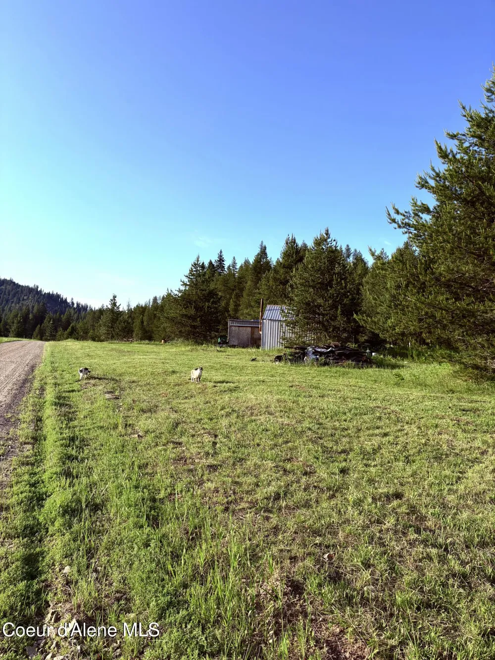 1367 Mud Gulch Rd Priest River, ID 83856