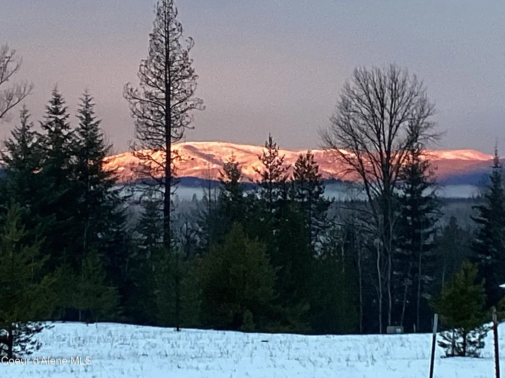1367 Mud Gulch Rd Priest River, ID 83856