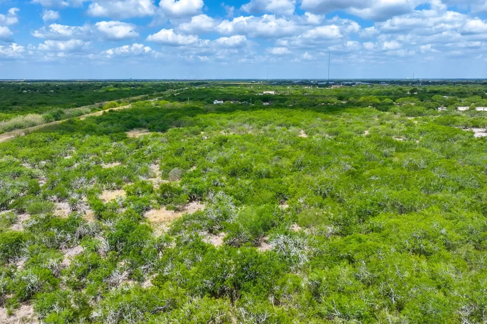 1315 Antonia Avenue Sinton, TX 78387