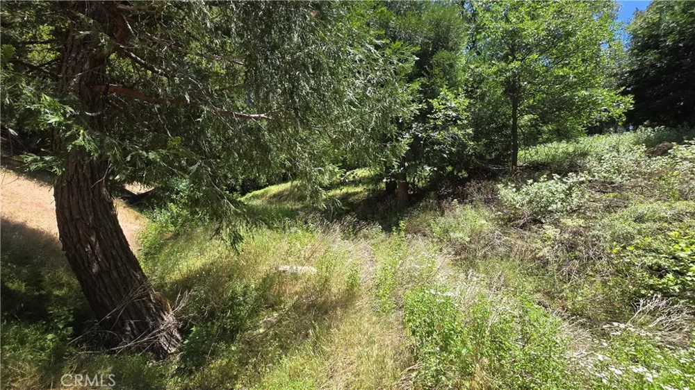 Mojave River Road Cedarpines Park, CA 92322