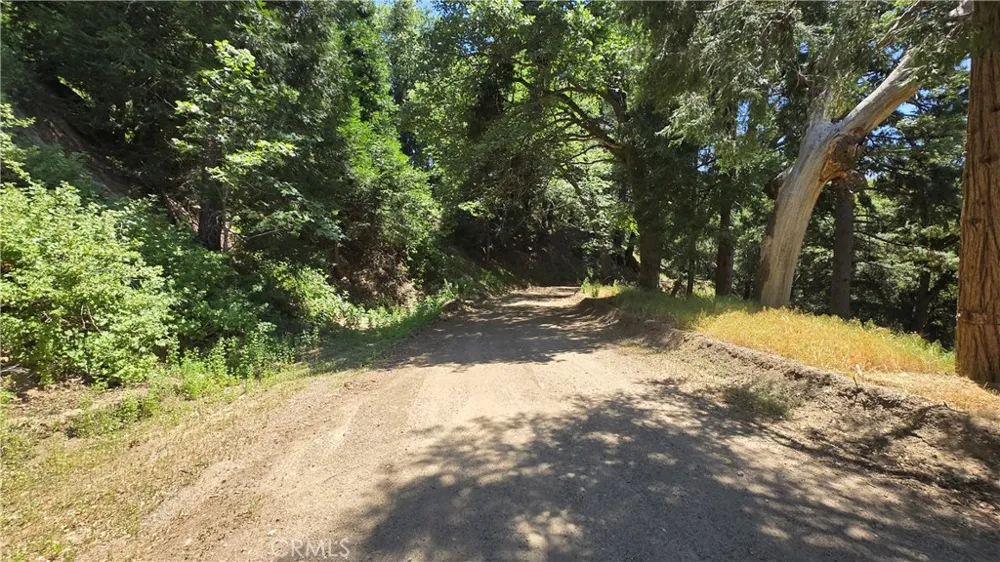 Mojave River Road Cedarpines Park, CA 92322