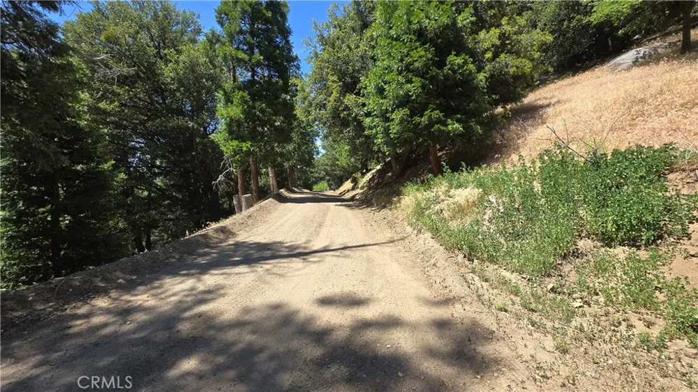 Mojave River Road Cedarpines Park, CA 92322